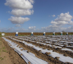 CARONI LAND IN FELICITY FOR SALE