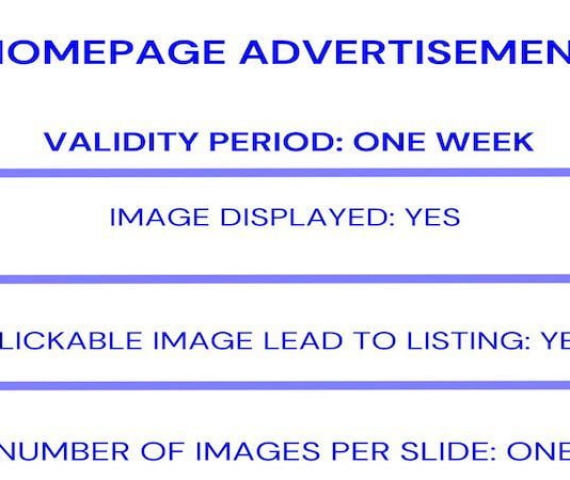 Homepage advertisement